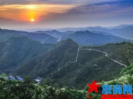 旅商网 || 来临湘白石茶园体验“龙脊梯田”层层迭迭的壮美