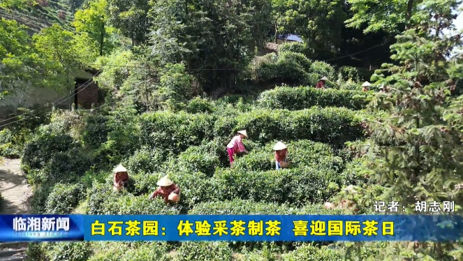《临湘新闻》2024年5月15日