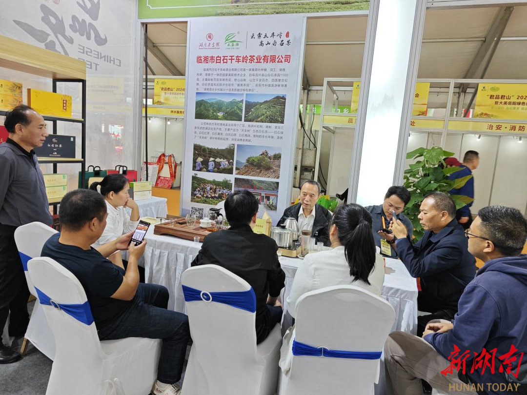 白石名茶闪耀岳阳茶博会，芬芳满座迎八方来客