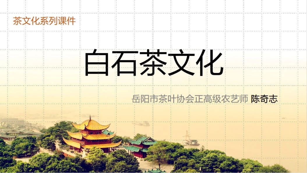 茶学专家解读白石茶文化，引领听众品味茶韵人生