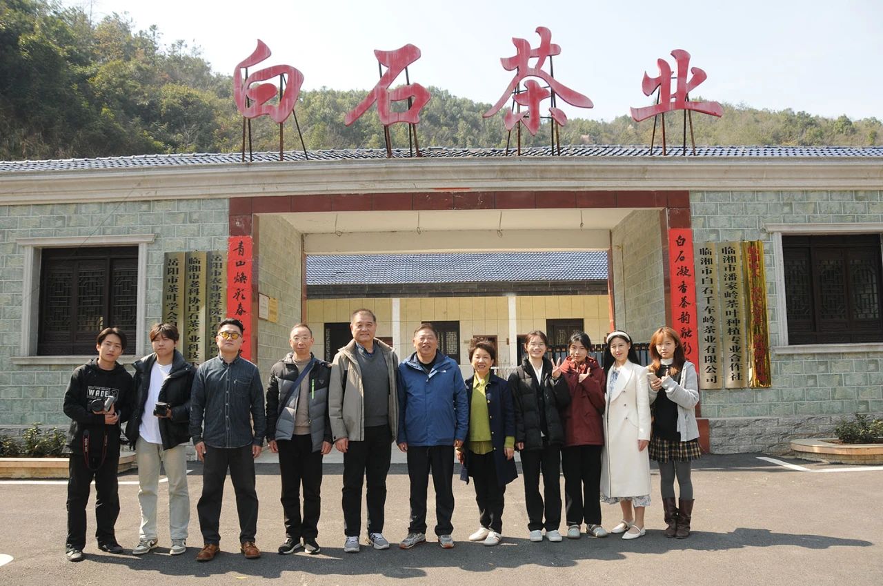 技能逐梦展风采 茶香漫卷绘新篇—— 岳阳现代服务职业学院师生以镜头书写临湘白石茶故事