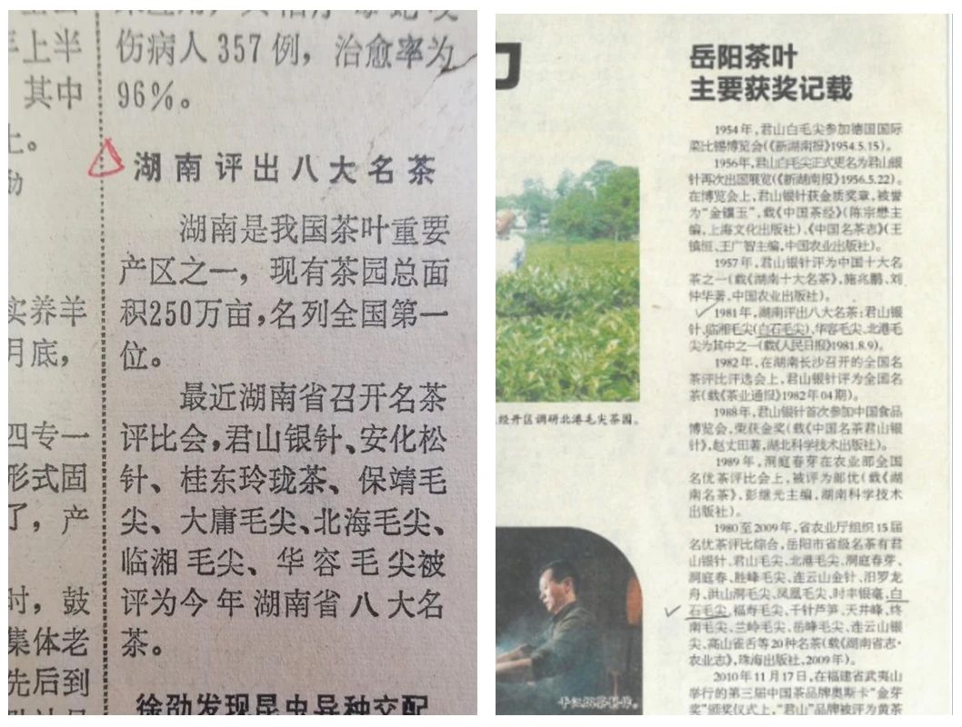 细数白石毛尖的众多荣誉​