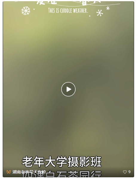 视频 || 爱在春天 白石茶园行(张敦富)
