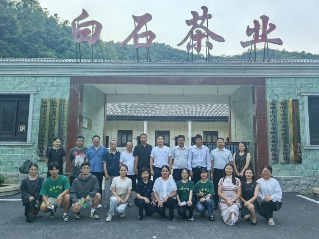 白石茶业大暑科研忙 专家联手破解黄茶闷黄瓶颈